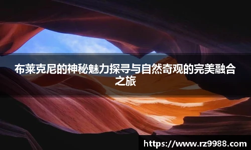 NG大舞台平台